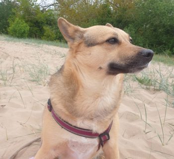 Esmi am Strand