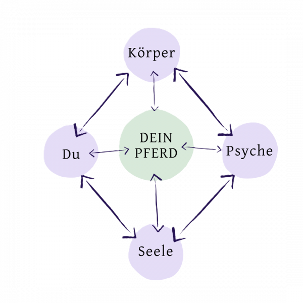 Kreislauf o h Kreislauf o h