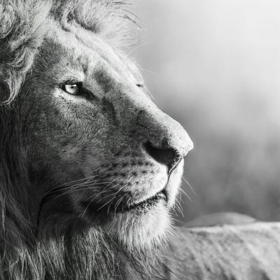 andrew-liu-2nx1Z70CT8I-unsplash